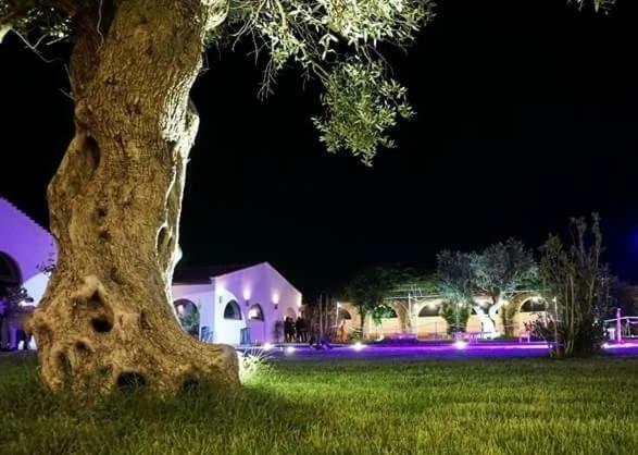 Masseria Colle Carro Ba07200451000019667 Альтамура Экстерьер фото