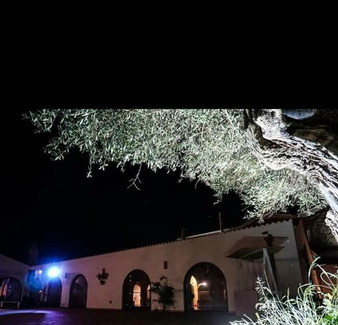 Masseria Colle Carro Ba07200451000019667 Альтамура Экстерьер фото