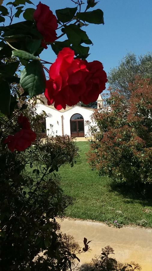 Masseria Colle Carro Ba07200451000019667 Альтамура Экстерьер фото